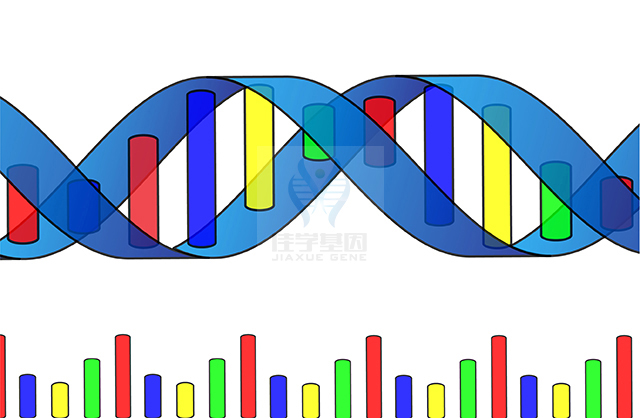 【evo视讯官网基因检测】克兰费尔特综合征（<font color='red'><font color='red'>Klinefelter</font></font> syndrome)基因解码、基因检测