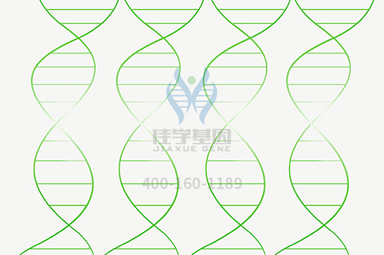 【evo视讯官网基因检测】脊髓延髓肌萎缩症基因解码、基因检测